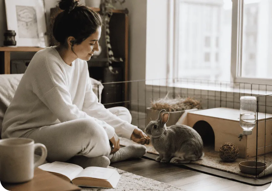 pet owner responsibilities